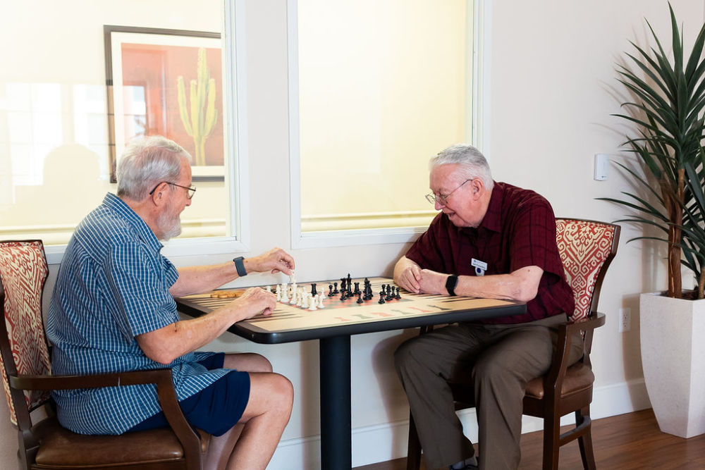 Guys Playing Chess 1000Px