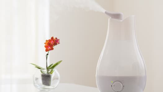 vase with flower next to humidifier