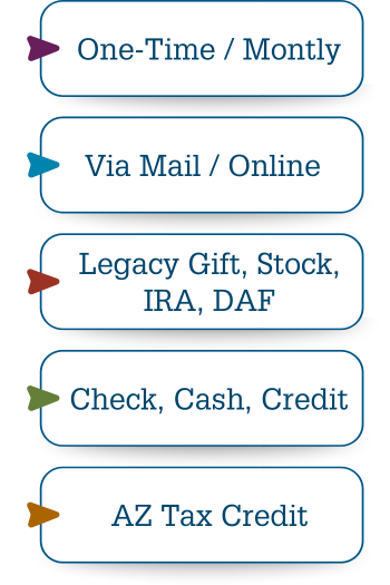 Infographic with different ways to donate